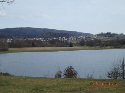 Foto - Einfamilienhaus in Waldmünchen zum Kaufen