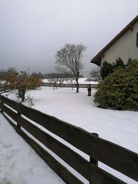 Foto - Einfamilienhaus in Helmbrechts zum Kaufen