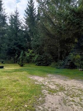 Foto - Einfamilienhaus in Wittingen zum Kaufen