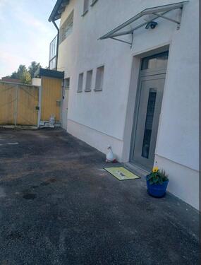 Foto - 3 Zimmer Etagenwohnung zur Miete in Schöllnach