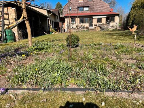 Foto - 7 Zimmer Einfamilienhaus in Schulzendorf