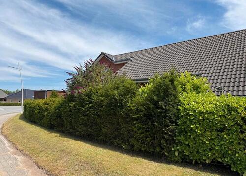 Foto - 2.5 Zimmer Erdgeschoßwohnung zum Kaufen in Tarp