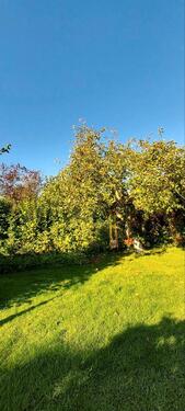 Foto - Kleingarten in der Anlage Marschweg