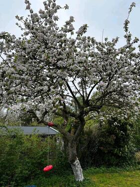Foto - Grundst&uuml;ck in Oldenburg zur Miete