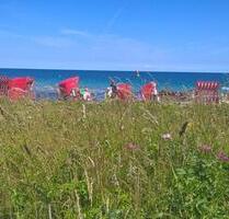 Ferienwohnung in Schönhagen Ostsee Schleswig-Holstein mieten! - Dörphof