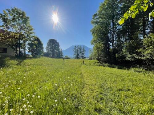 Foto - Wunderschönes Grundstück in exponierter Lage! Diesen Platz muss man fühlen!