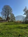 Foto - Grundstück in Kiefersfelden