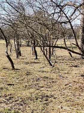 Foto - Grundst&uuml;ck in Spreenhagen