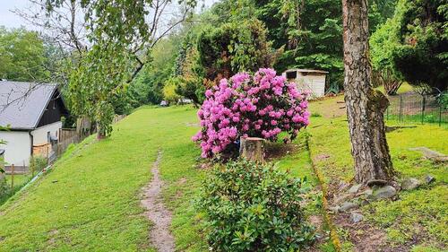 Foto - andere in Suhl zur Miete