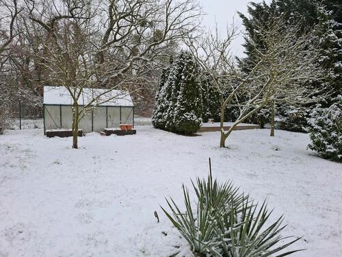 Foto - 4 Zimmer Einfamilienhaus in Potsdam