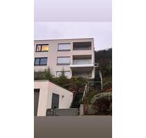 Doppelhaushälfte mit Einliegerwohnung - Heidelberg Peterstal