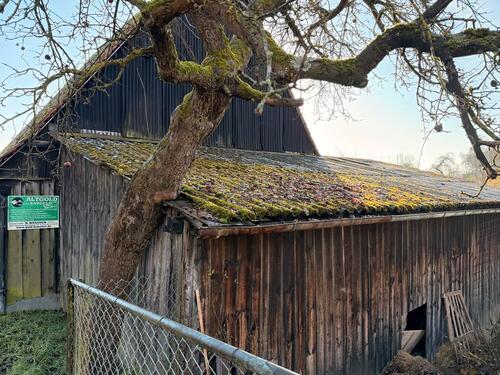 Foto - Einfamilienhaus in Forchheim