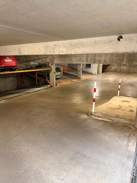 Foto - andere in Dresden