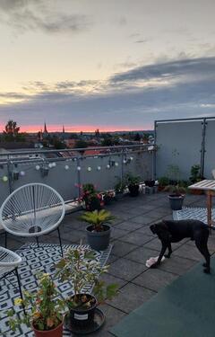 Foto - Wohnung in Offenbach zu vermieten