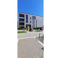 Bei VIVAWEST die Sonnenstrahlen auf der eigenen Terrasse genießen. - Essen Stadtbezirk II