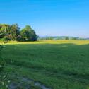 Foto - 5 Zimmer Einfamilienhaus zum Kaufen in Zittau