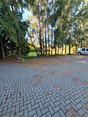 Foto - 3 Zimmer Etagenwohnung in Magdeburg