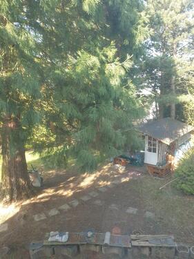 Foto - 5 Zimmer Reihenhaus in Kastellaun