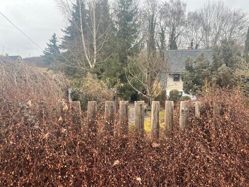 Foto - Bungalow zu verkaufen - 45.000,00&nbsp;EUR Kaufpreis, ca.&nbsp; 48,00&nbsp;m&sup2;