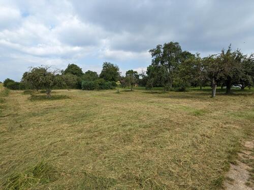 Foto - Grundst&uuml;ck zur Miete in Bietigheim-Bissingen