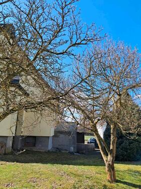 Foto - 5 Zimmer Einfamilienhaus in Nobitz