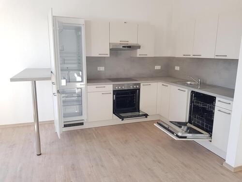 Foto - ✨ Stilvoll wohnen mit Charakter – Erstbezug nach Kernsanierung im Denkmaljuwel in Plauen ✨