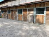 Foto - andere in Glonn