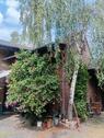 Foto - Bauernhaus, Landhaus in Jüchen zum Kaufen