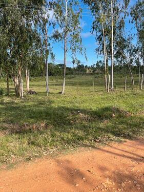 Foto - Grundstücke in Paraguay, Cordillera ab 360 m2