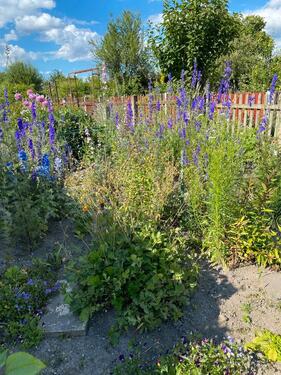 Foto - Grundst&uuml;ck in Leipzig
