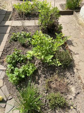 Foto - Grundst&uuml;ck in Leipzig zur Miete