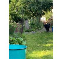 Wohngemeinschaft 50+ - 400,00&nbsp;EUR Kaltmiete, ca.&nbsp; 75,00&nbsp;m&sup2; in Blankenhain (PLZ: 99444)