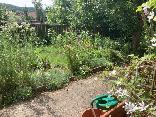 Foto - 2 Zimmer Etagenwohnung zur Miete in Blankenhain