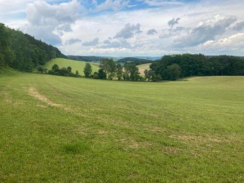 Foto - Etagenwohnung in Blankenhain zur Miete