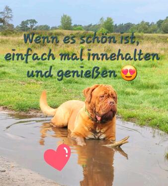 Foto - 9.10.-12.10.25 Last Minute - 50,00 EUR Kaltmiete,