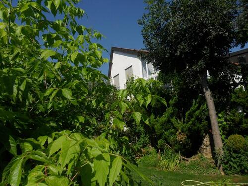 Foto - Studentenzimmer in 3-er WG - 400,00 EUR Kaltmiete,