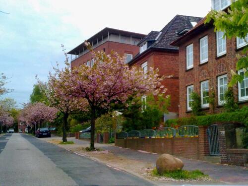 Foto - schöne 4 Zimmer Wohnung Zentrum Itzehoe