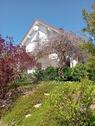 Foto - freundliches helles Einfamilienhaus