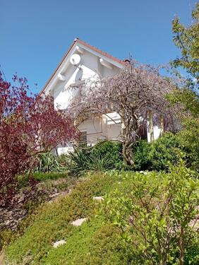 Foto - freundliches helles Einfamilienhaus