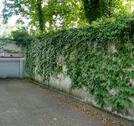 Foto - andere in München