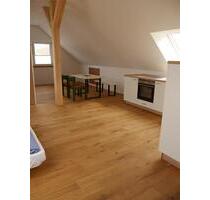 1-Zimmer-Appartment zw. Marktheidenfeld und Wertheim zu vermieten - Triefenstein