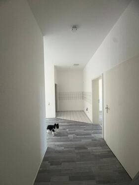 Foto - 2 Zimmer Etagenwohnung in Reichenbach im Vogtland