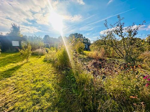 Foto - Grundstück in Rostock zur Miete