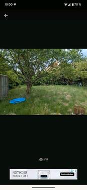 Foto - Kleingarten im KGV Sonniges Land