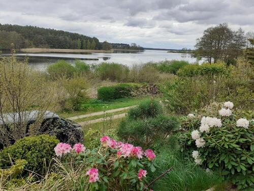 Foto - 2 Zimmer Einfamilienhaus in Crivitz