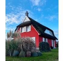 Im Februar noch frei - 5 Sterne Ferienhaus Insel Rügen - Gingst