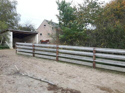 Foto - Bauernhaus, Landhaus in Hankensbüttel zum Kaufen
