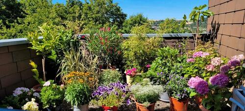 Foto - 2 Zimmer Etagenwohnung zum Kaufen in Veitshöchheim