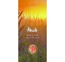 NEU große Räumlichkeiten zu vermieten - Neubrandenburg Carlshöhe