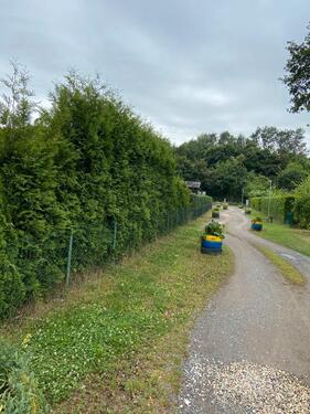 Foto - Grundstück in Hamm